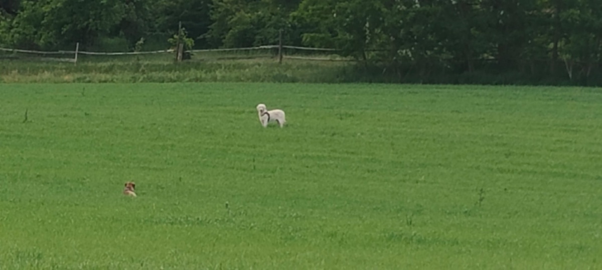 56336eb4-66e7-4105-896e-7437885e1755