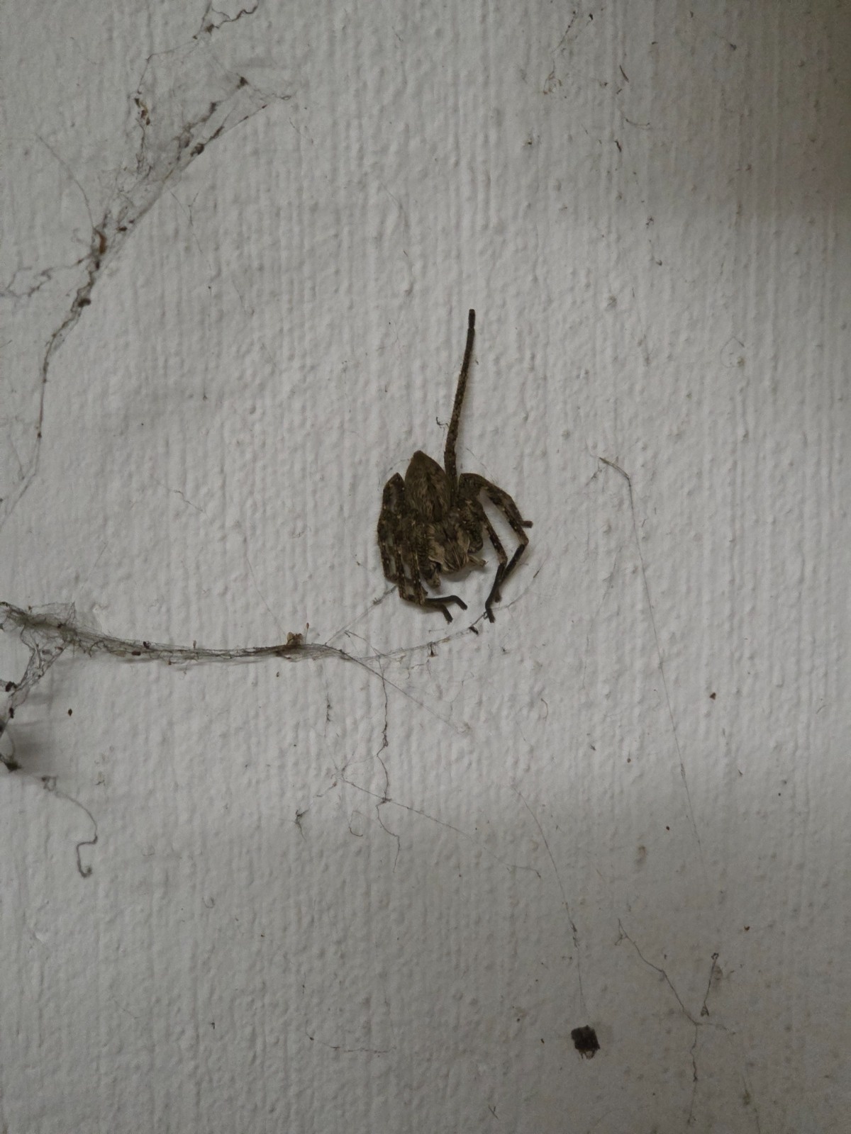 07530d20-6d43-43e6-854f-6273caa568f6