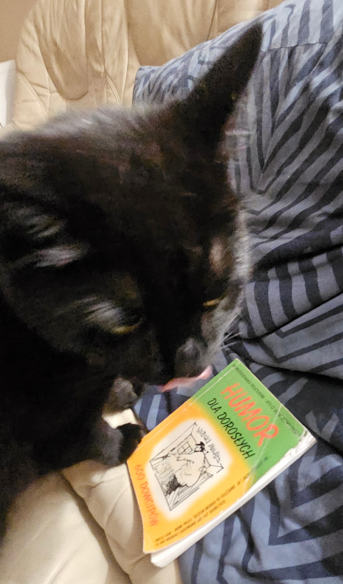 195d3e5e-1c1d-4503-81e1-31971b13c085