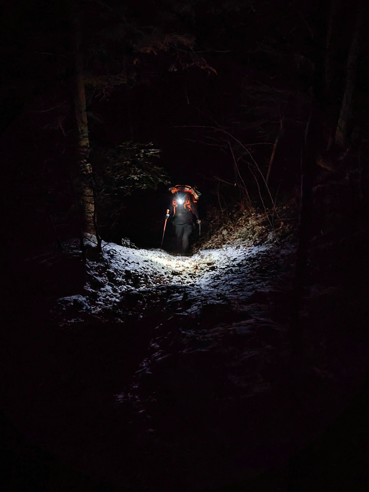 dd8145fa-03c0-49d3-a5a7-c40455f9659a