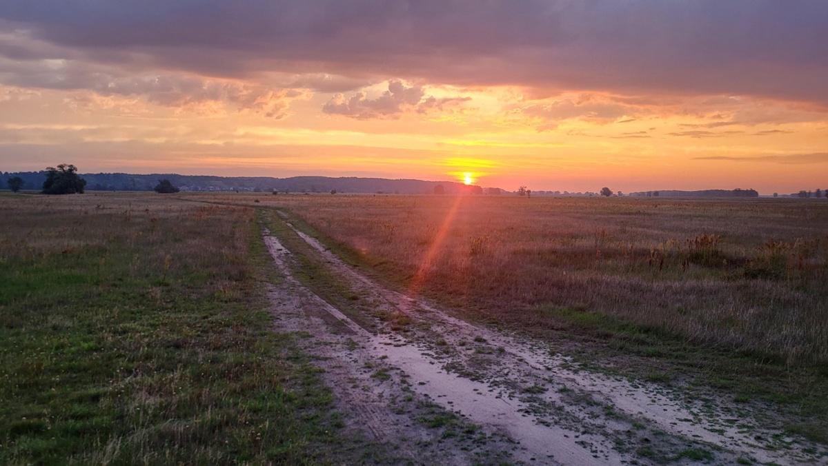 26a1f279-324d-4b02-b8d8-07ad321faebf