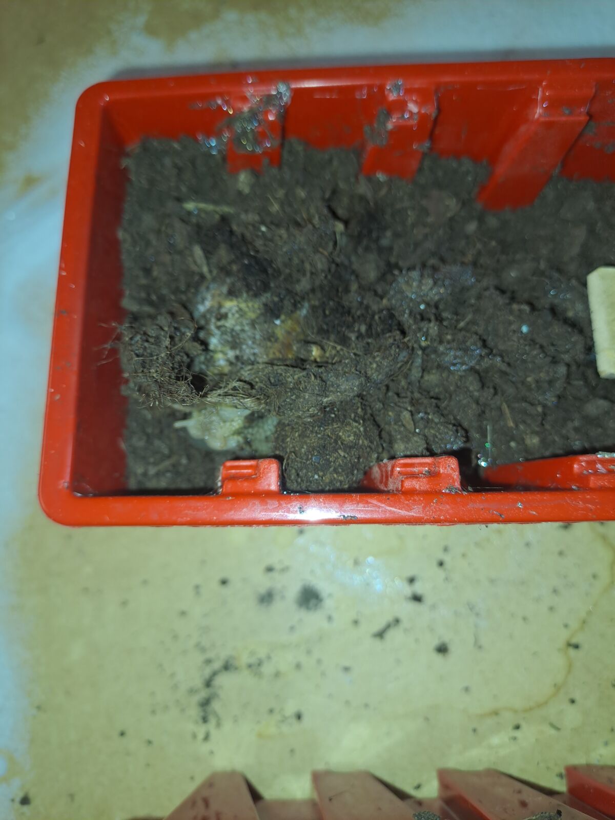 8bd80960-b2cc-4580-9cc8-674d1209c3cd