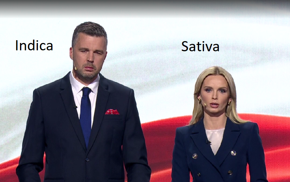 12d1d6eb-d929-4069-abb1-18774b7dc49b