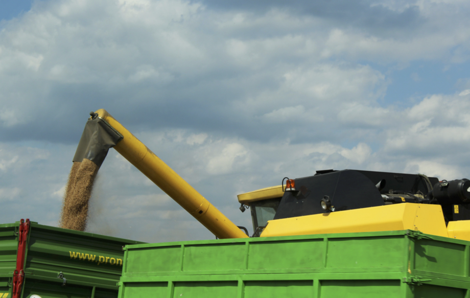 Potentat związany z ludźmi PSL importerem zbóż z Ukrainy