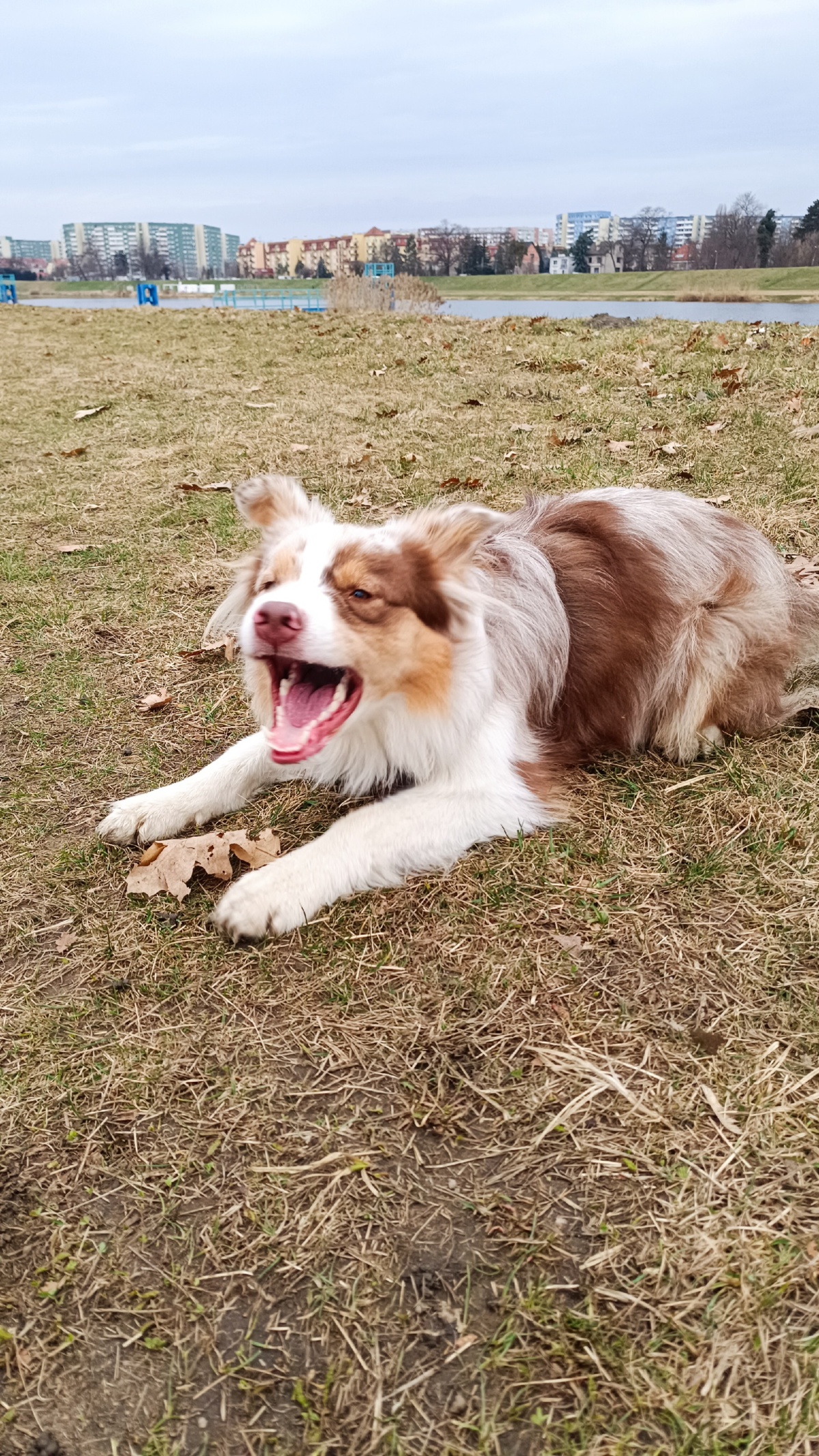 94e63864-2ee7-481d-99fb-7c6cab599e37