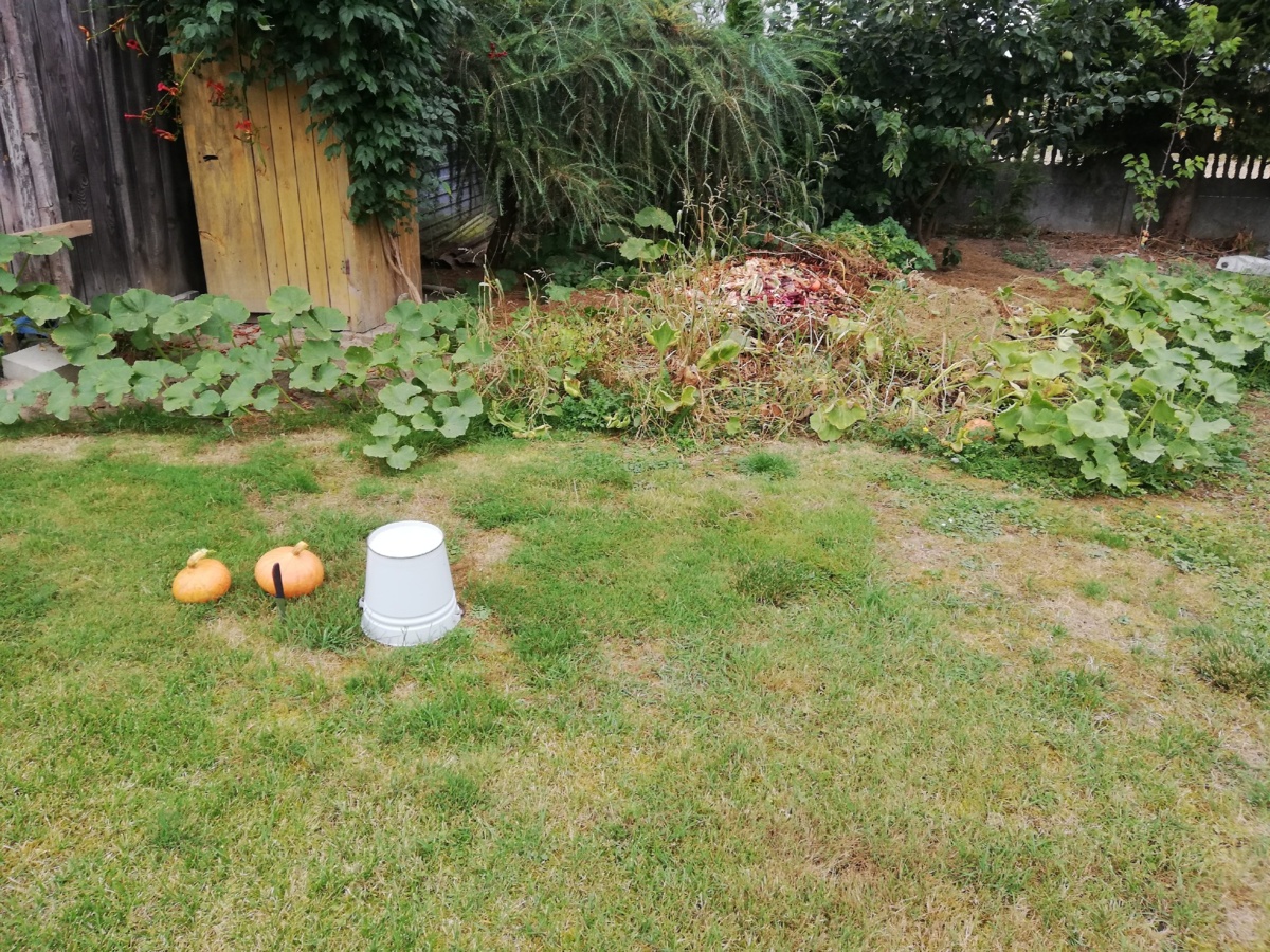 b9e71490-6742-4092-ab64-580ad36463bb