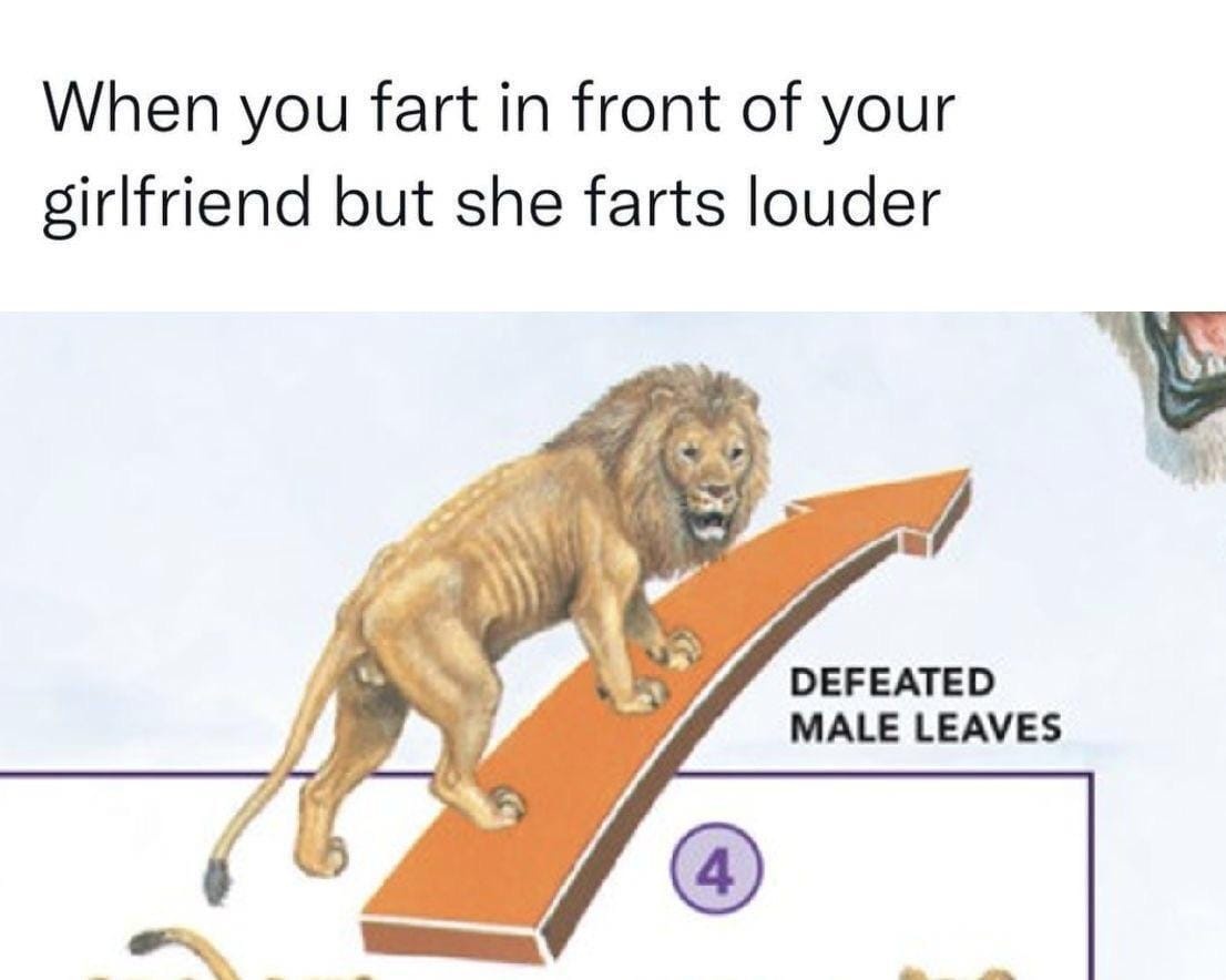 13b27f27-90da-4638-a9b4-1fca5f0f2f3f