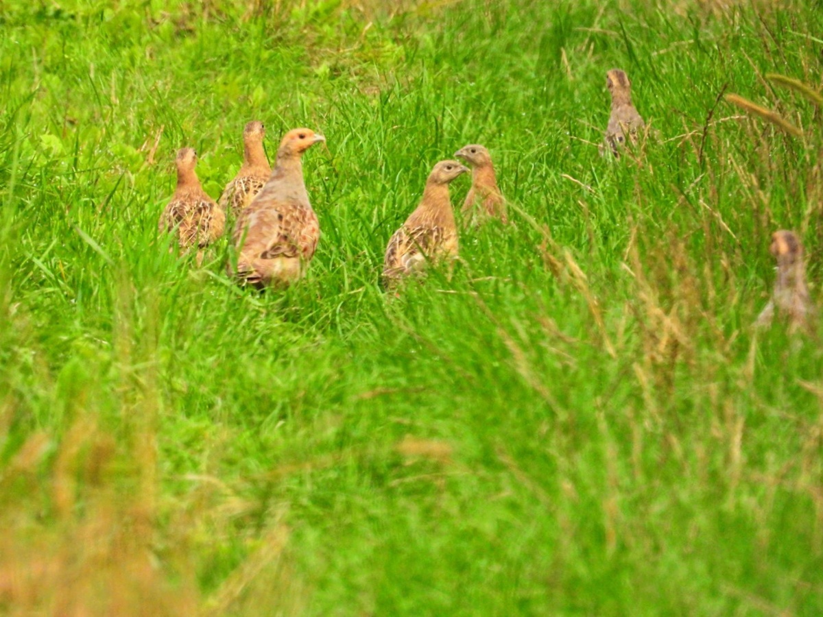 44340c65-2e40-46a2-acbd-1727edd293cf