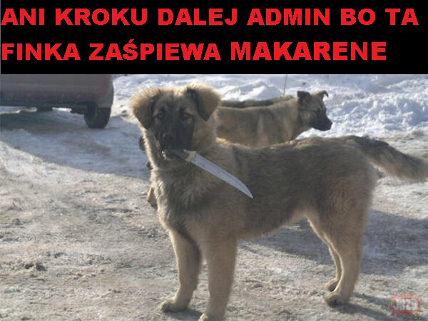 0bd4ce71-8132-4e60-aee4-27adc31cf05a