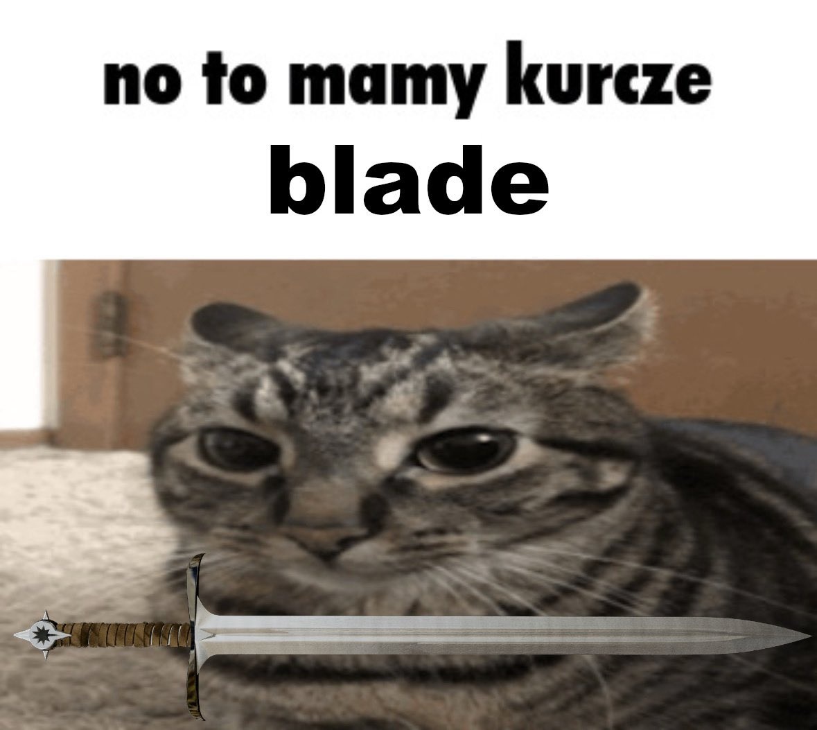 aed103ee-b765-457c-9e3e-3518950312e9