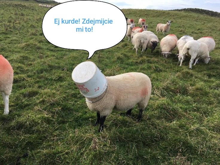 b2521afb-f9b7-4ae0-bd33-443f03e36727