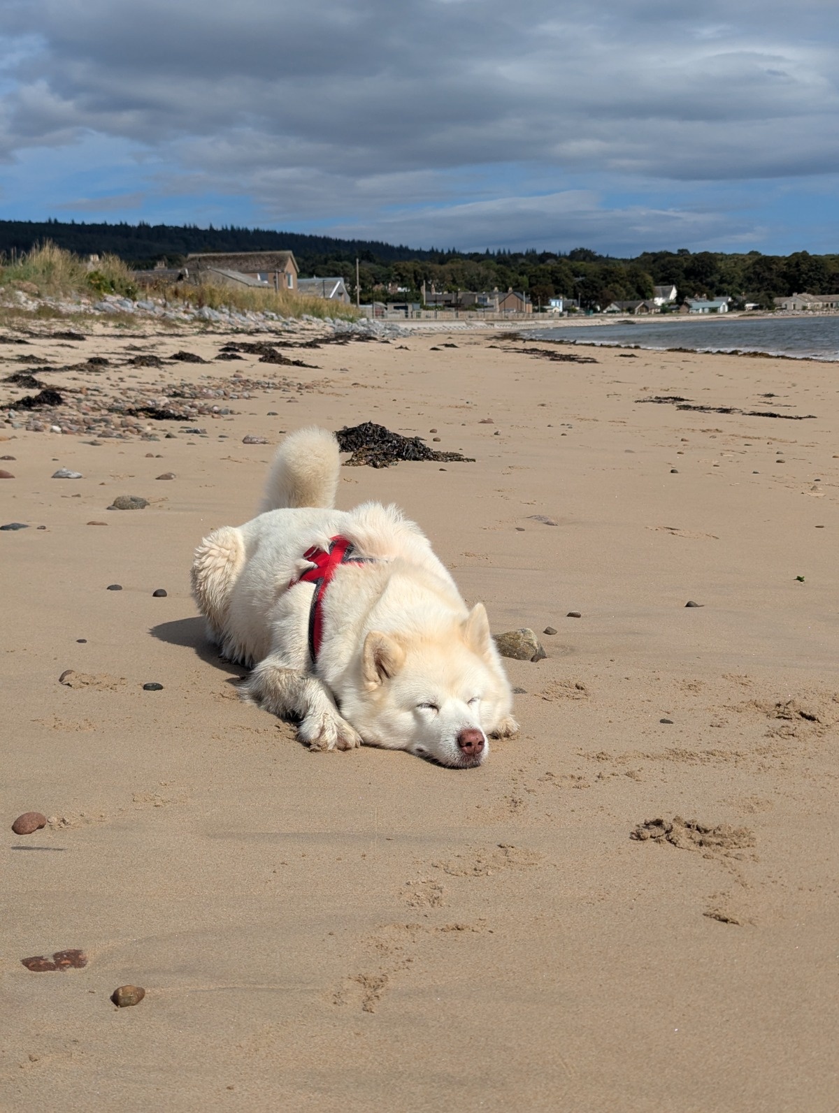 9eef418a-43aa-40c7-91a6-fb57480821ed