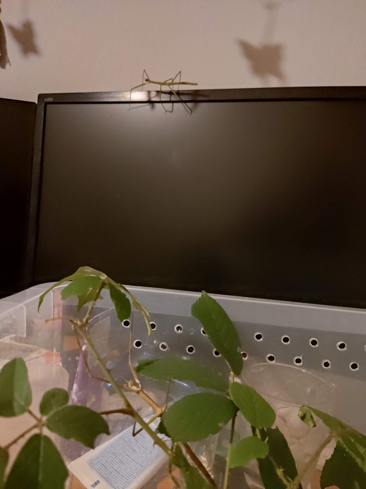 7042e6f7-049f-4d67-9988-f65a3c6a20bd