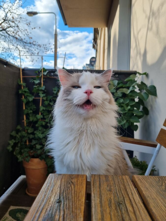 31b94e0b-9039-4f01-b983-97e9396a8f9e