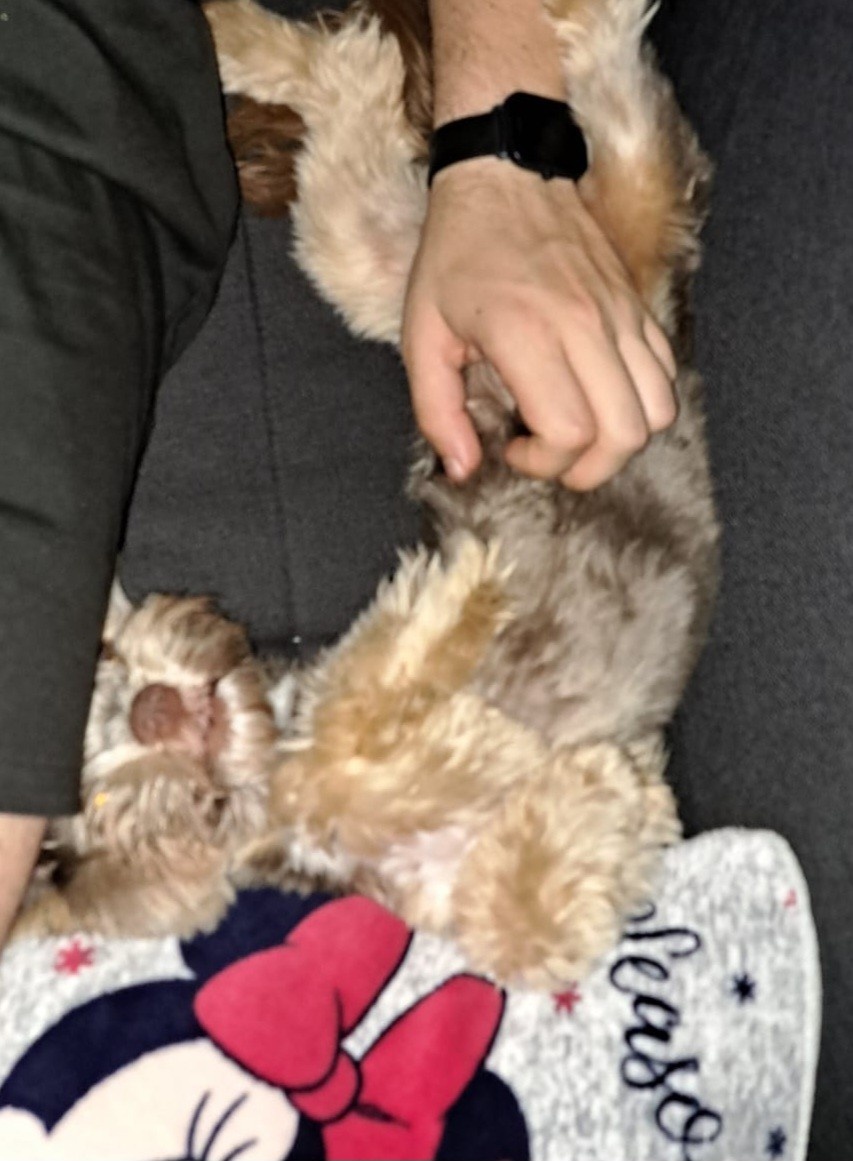 f16e6981-337b-4e98-9ff0-438fae36eac1