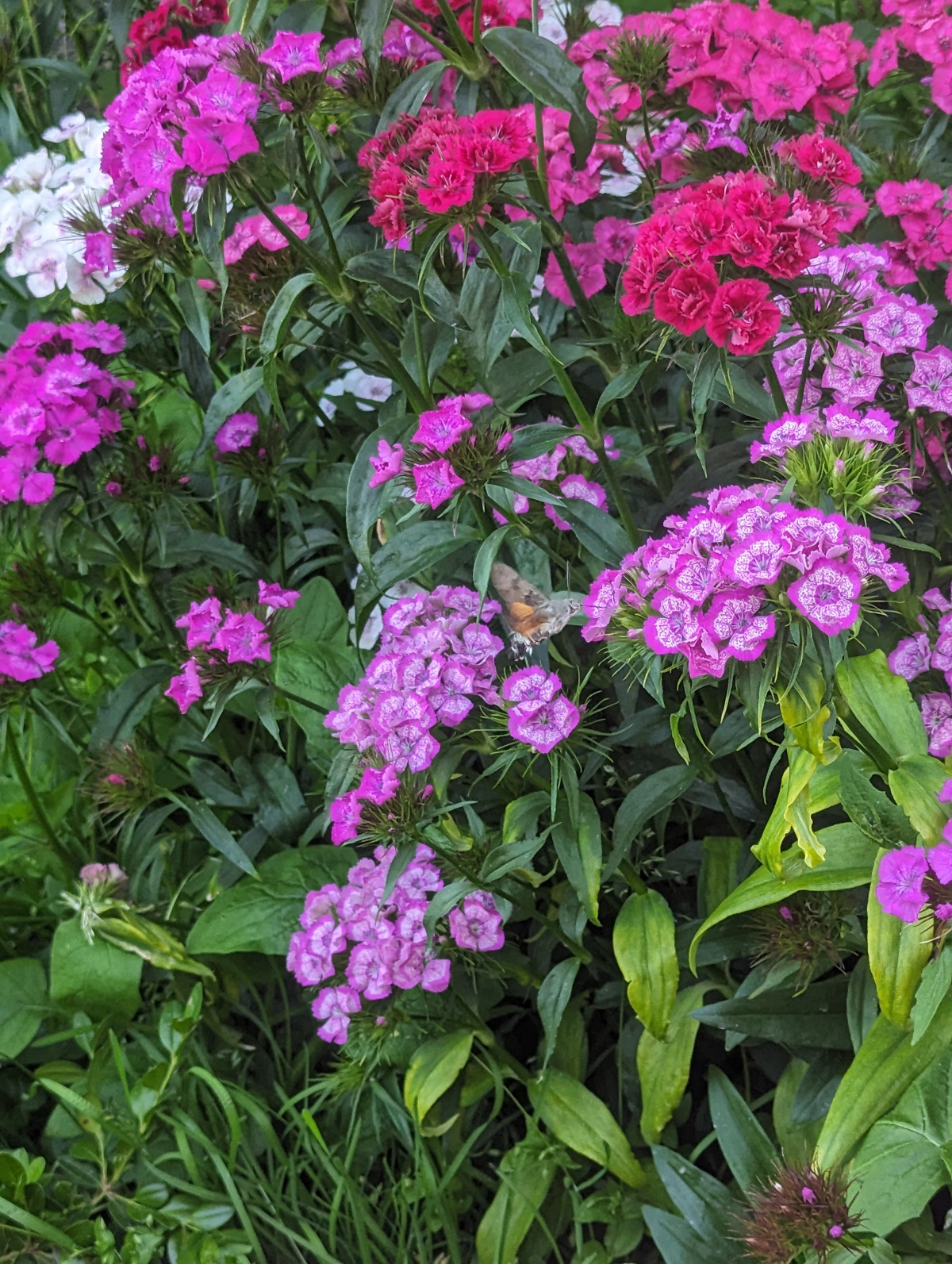 f43ca67c-4e7b-4894-b027-1b1d6afd2227