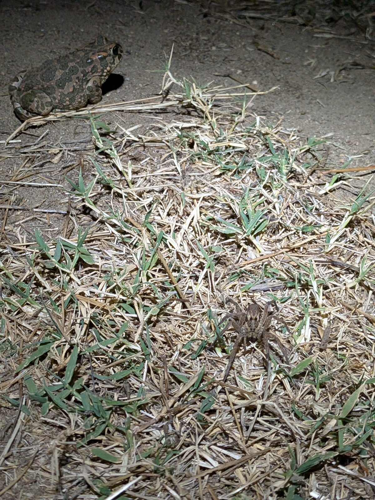 PXL_20261001_173507304.jpg