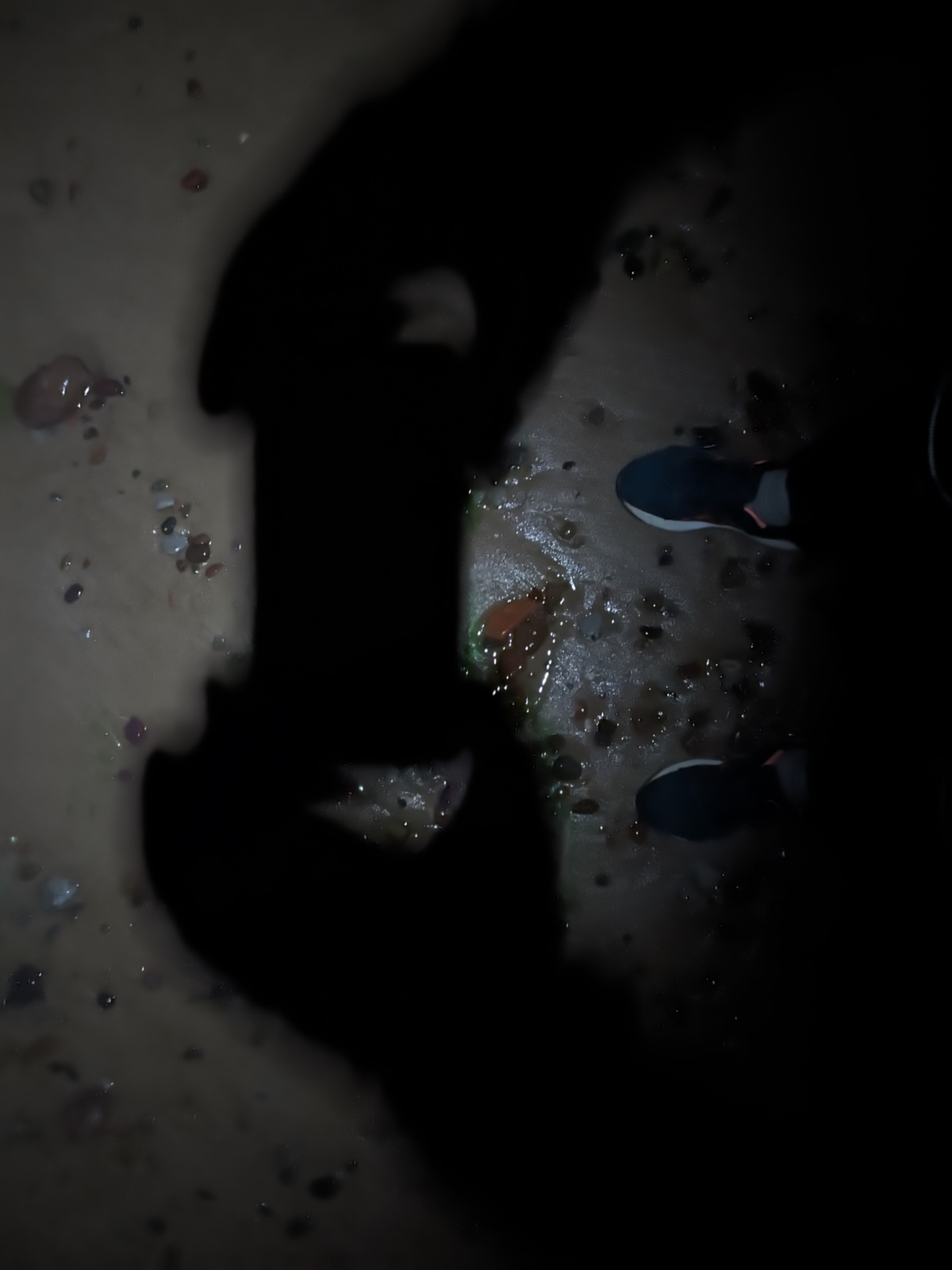 0fa1ac27-6322-4622-9a0f-3030d9157c3e