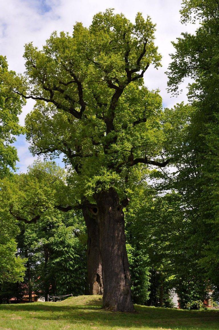 6997f0f7-9962-4ab7-bdaa-bfb003bea7d1