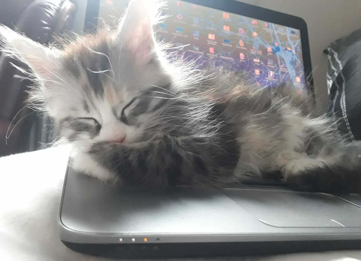 b6124de7-171e-4aa4-86b2-fd7789273c04