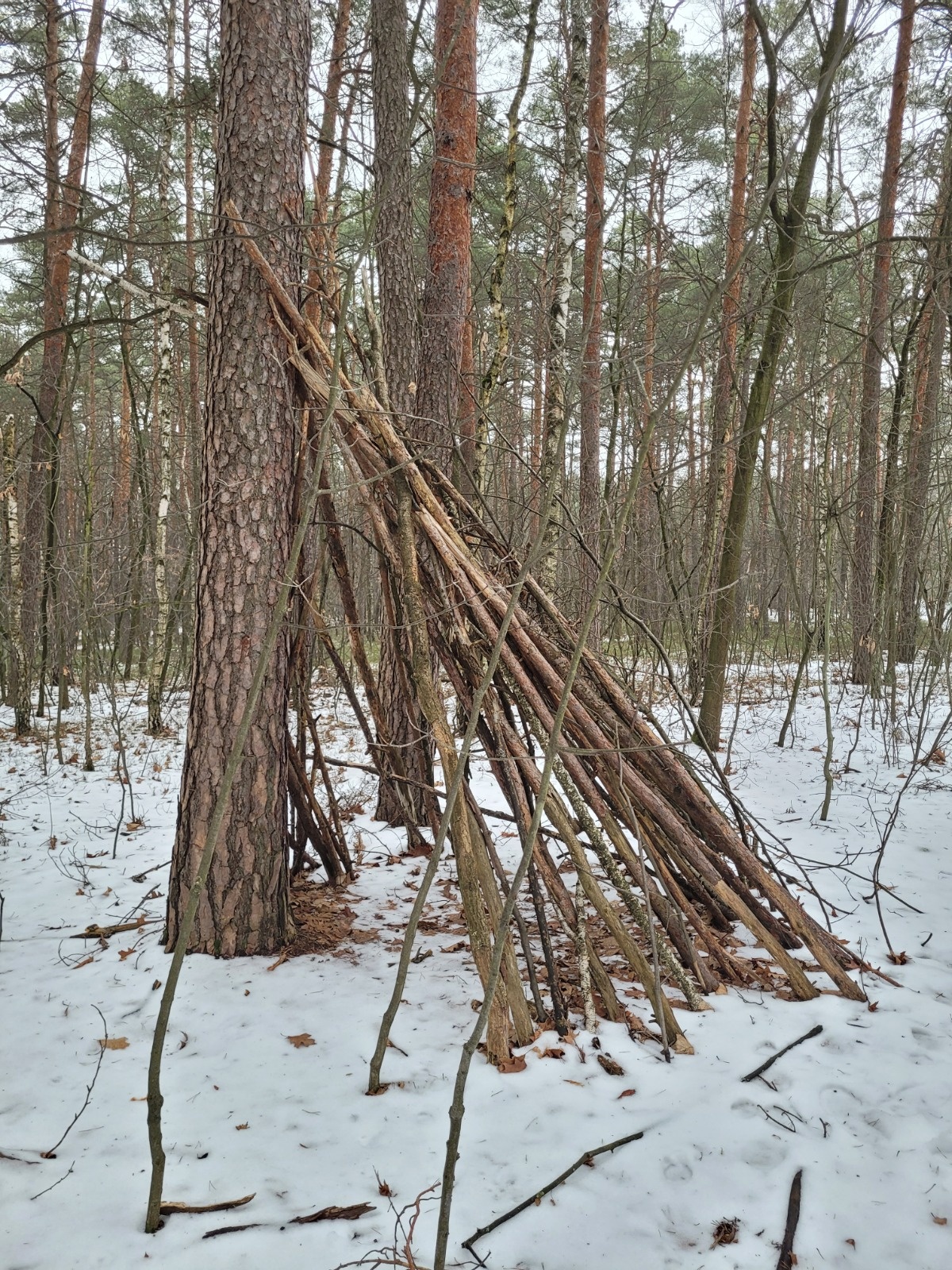 24600c66-d9cb-4ad9-a644-0bafe2f9fbac