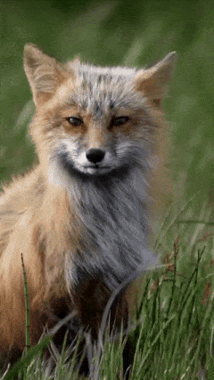 f69b6cb3-59ce-42c2-b54f-56c0855f9fa7