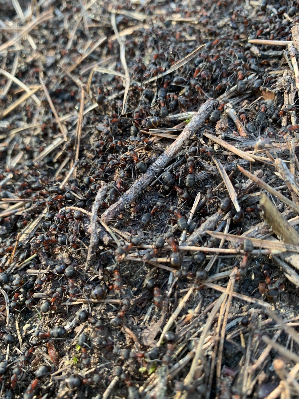 90478c6f-8cdb-4fd9-be06-42592bcdbc9e