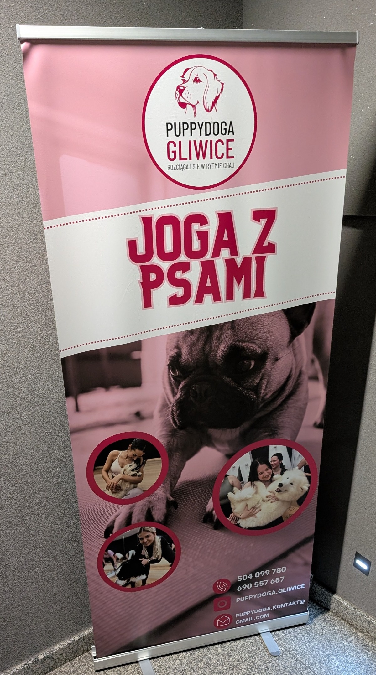 f65cbe68-6f31-4e83-b8aa-144f83502300