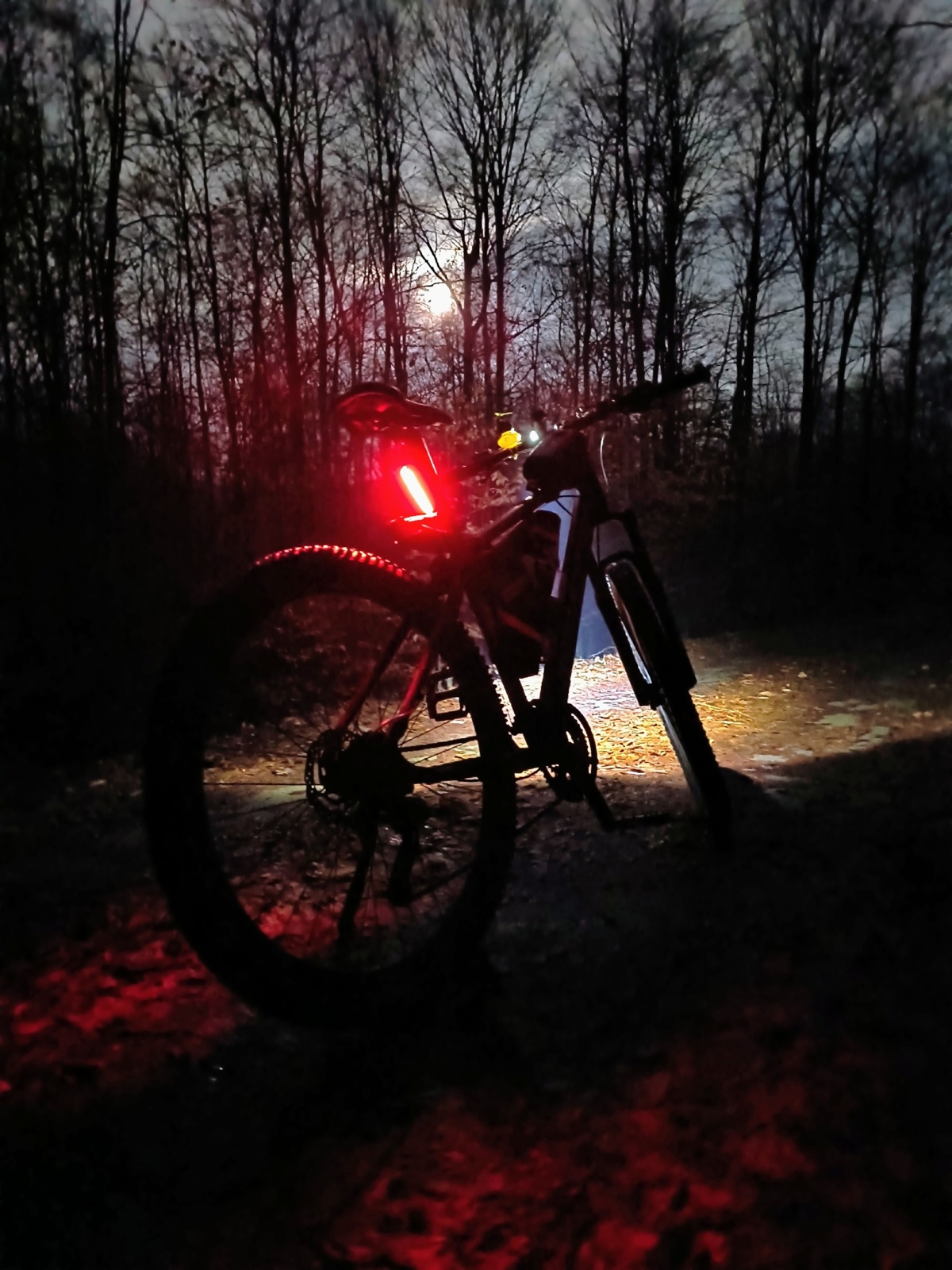 cdd683cf-70f1-462d-b490-e23c5602d329