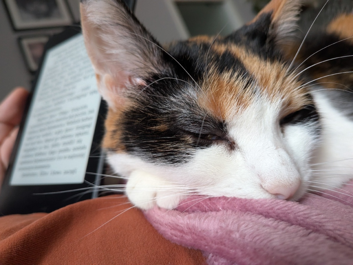 2c97225a-bb89-49fc-bebb-44e3b000ce8f