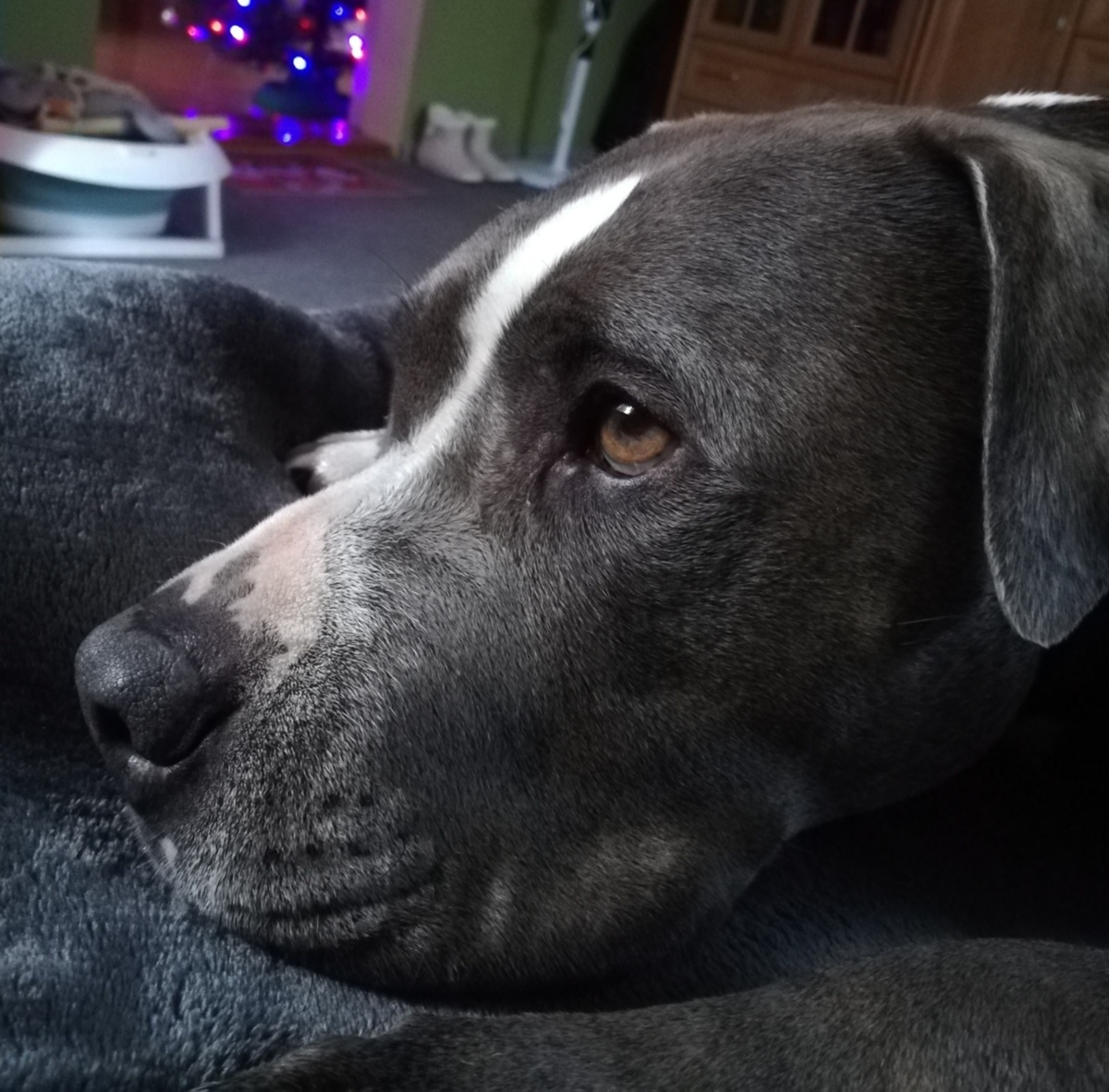 f722b49f-36b2-490f-b25f-d471528eeb64