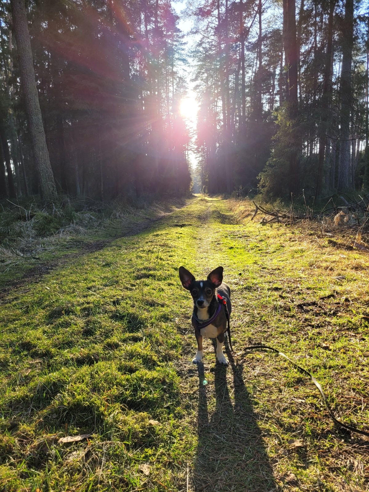 ec129b73-2230-4c3b-b0c4-6f83c9ee99b5