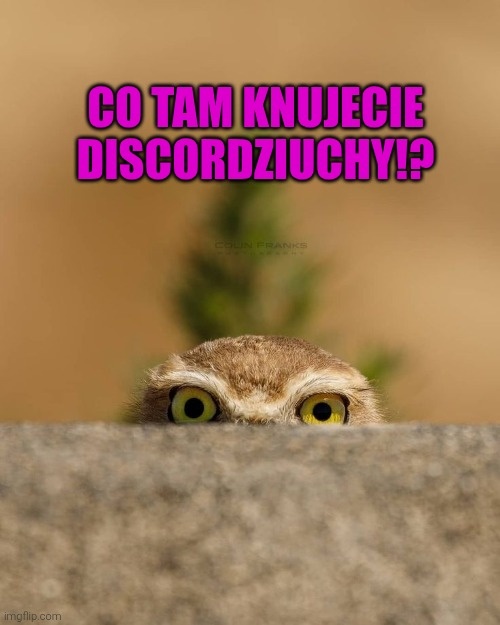 352840cc-54d1-4e53-929a-a6ce51e76b87