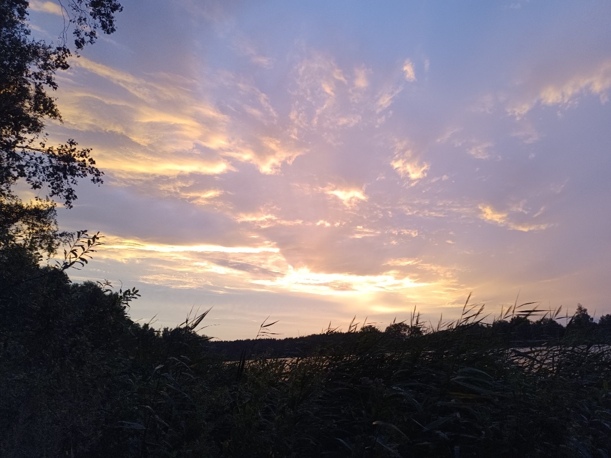 ce62edd5-37d0-4471-956d-205ca3ce3362