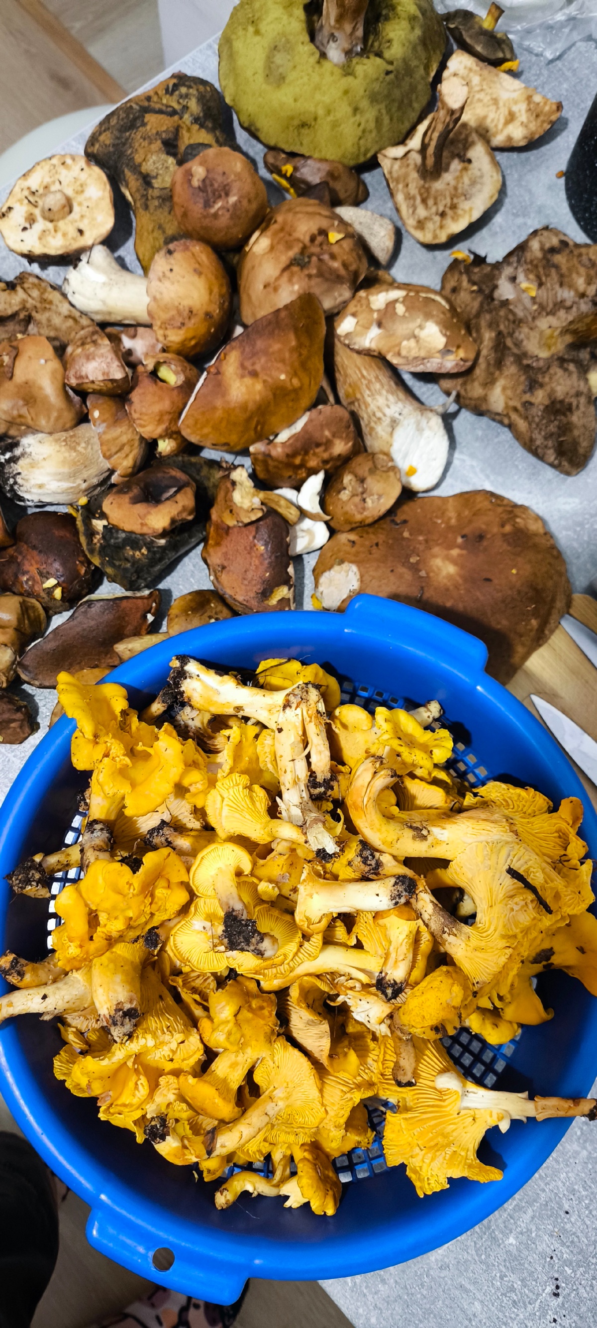 c740a793-2bdc-4da0-9781-a2546062610e