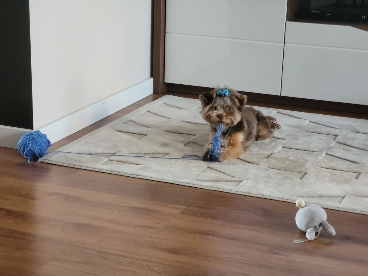 7dfa64b1-67a6-4279-a820-6785e5162f0f