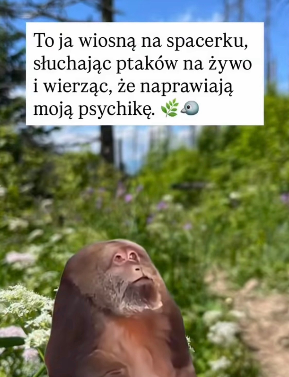 4a69f09a-795c-41b1-b955-8cb68b720638