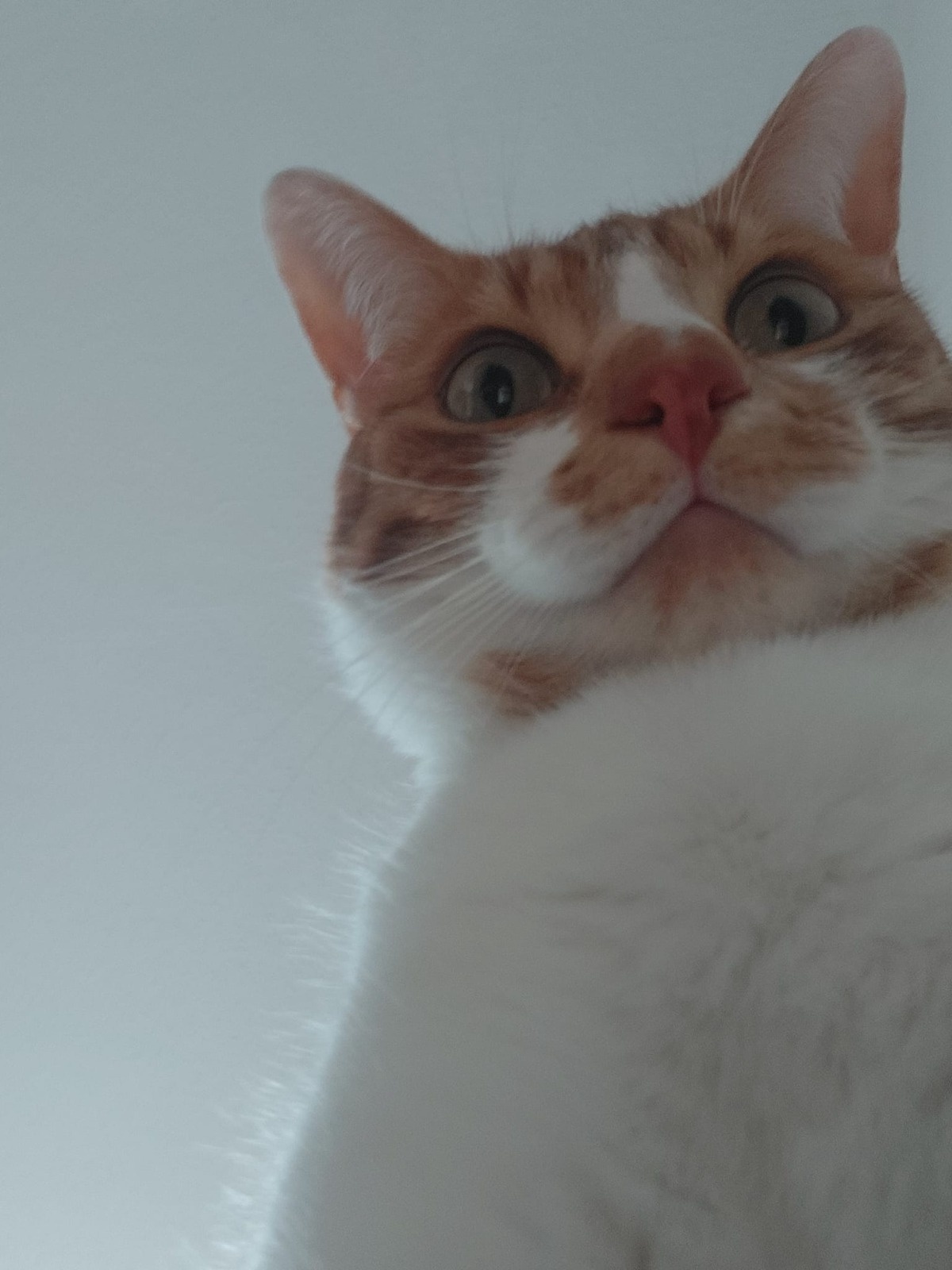 04c046c1-8313-40ff-8469-db11b8499182