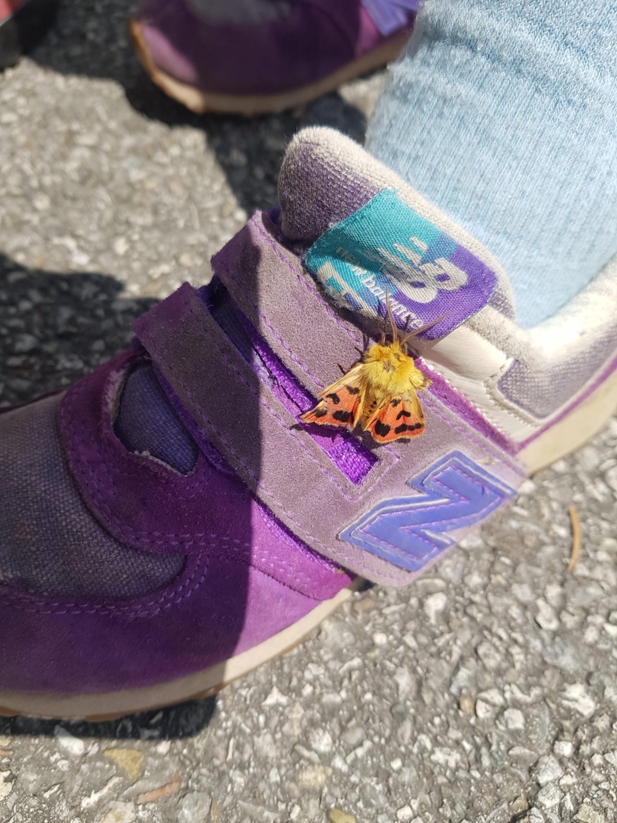 48748267-f702-483b-b8a9-d35205434372