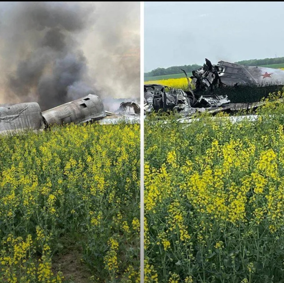 387d1a17-4667-40fb-9273-08f3b2b2e24a