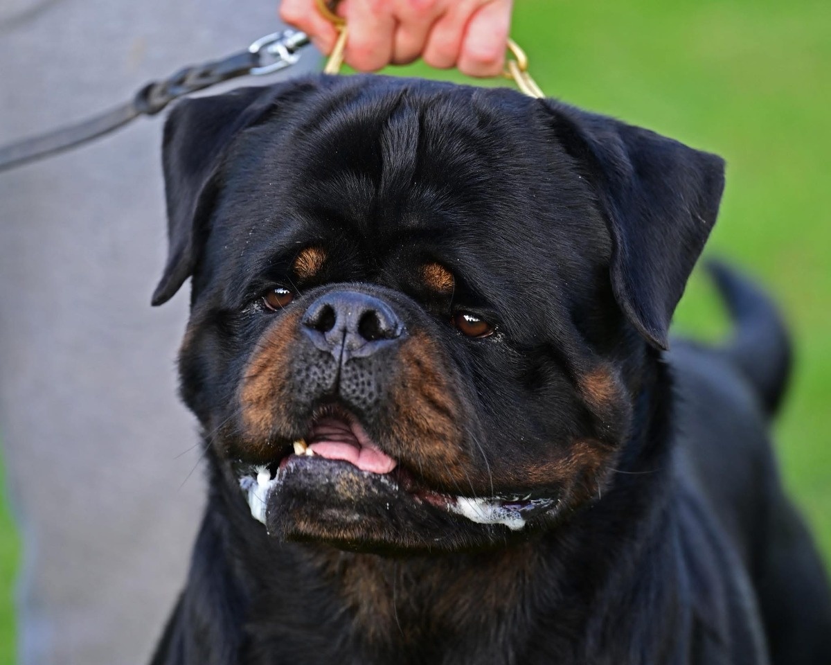 34fc4748-b321-45f0-876b-b06c9f7004ff