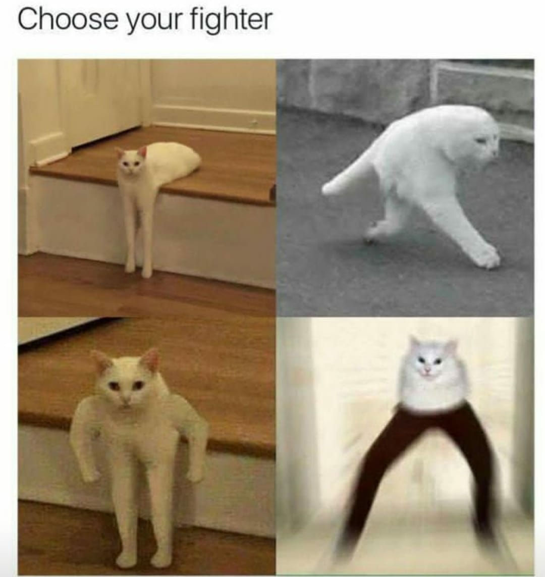 177a6243-f265-464a-8758-1ba70cc684d9