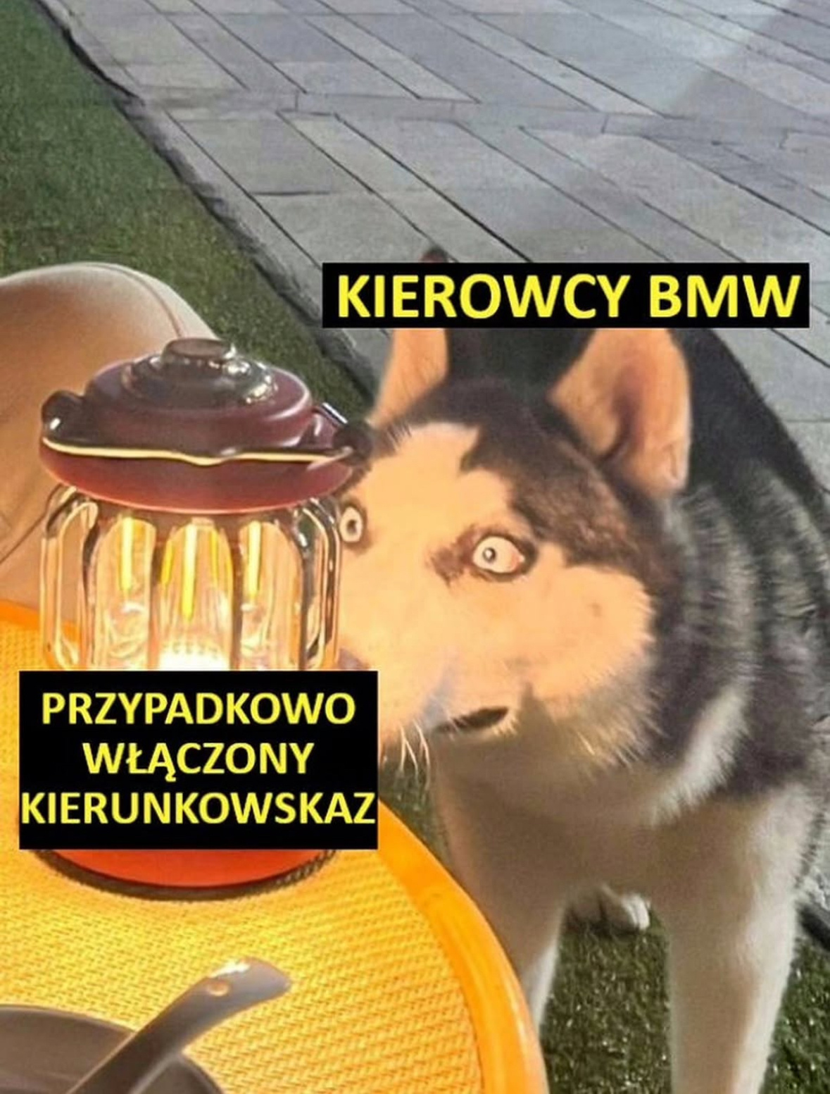 9a8bb1da-078a-41c5-8552-d2f990a0b90e