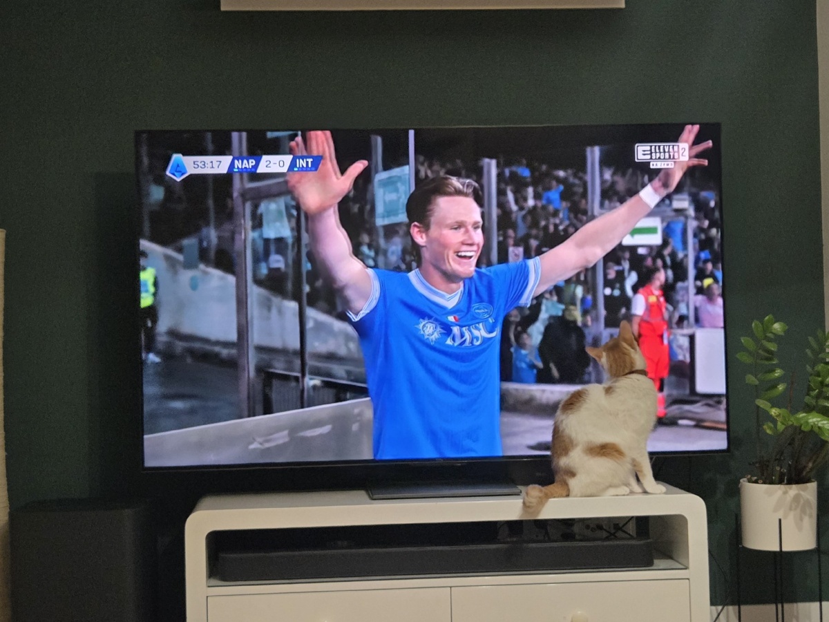 ce7dec28-aa7d-4e7f-9f16-4cb5c227fcb9