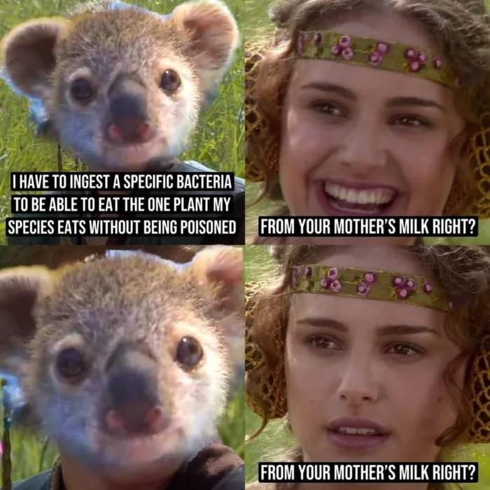 dd9b00ec-d71d-4d80-86fb-fa11e083f9a7