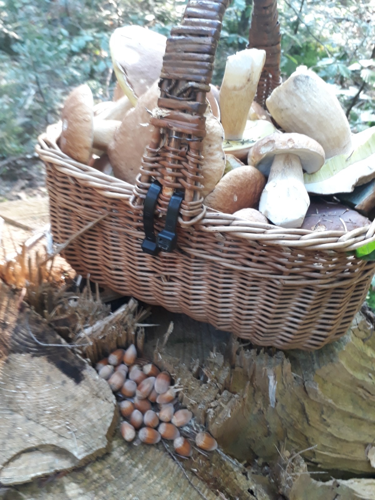 85a129f4-1a4f-423f-8256-43e53775eaae