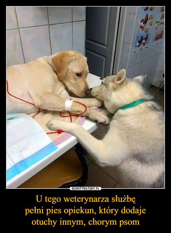 a4a246d5-6d87-4ca7-a5e4-22c709515874