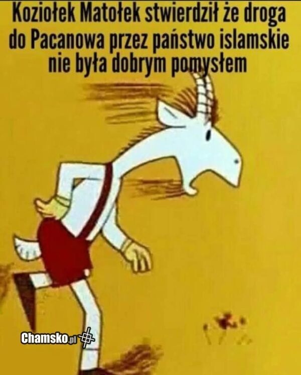 e63a4852-a31b-4510-96dc-fa0143de9759