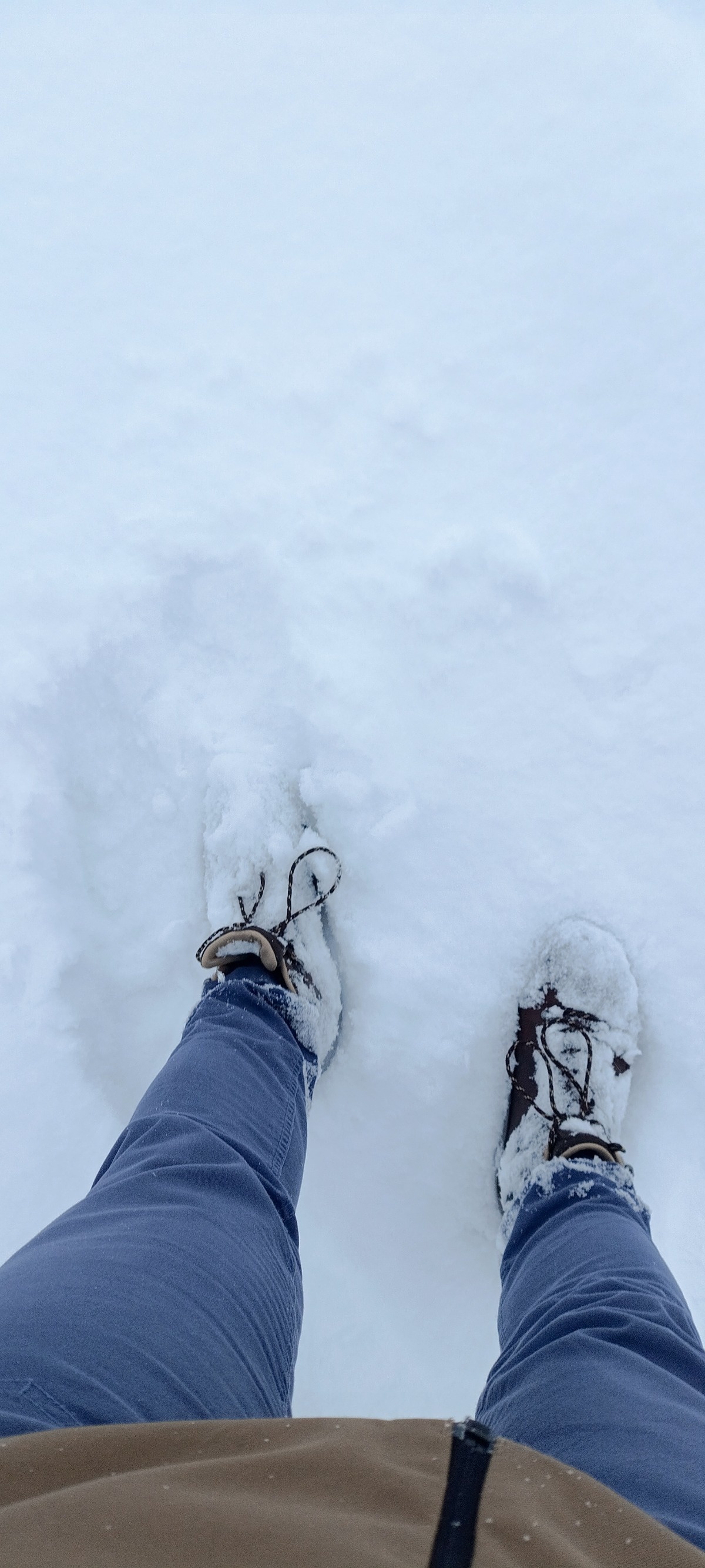 63e5dc70-dd8f-4f8a-8158-977352a7e912