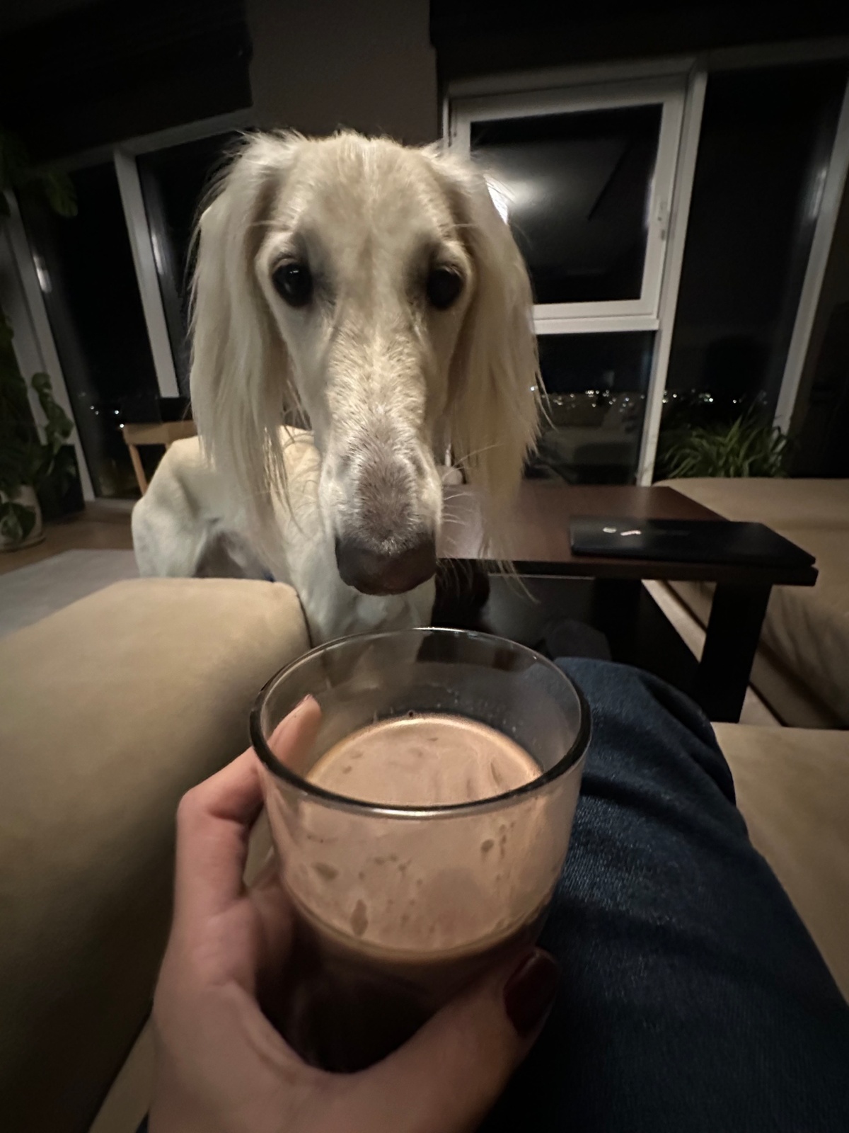 2ff5be21-b0f2-4b53-b0d2-14da1bef9907